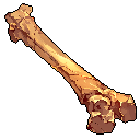 Bone