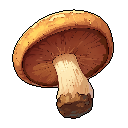 Brown Mushroom