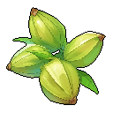 Cardamom