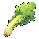 Celery