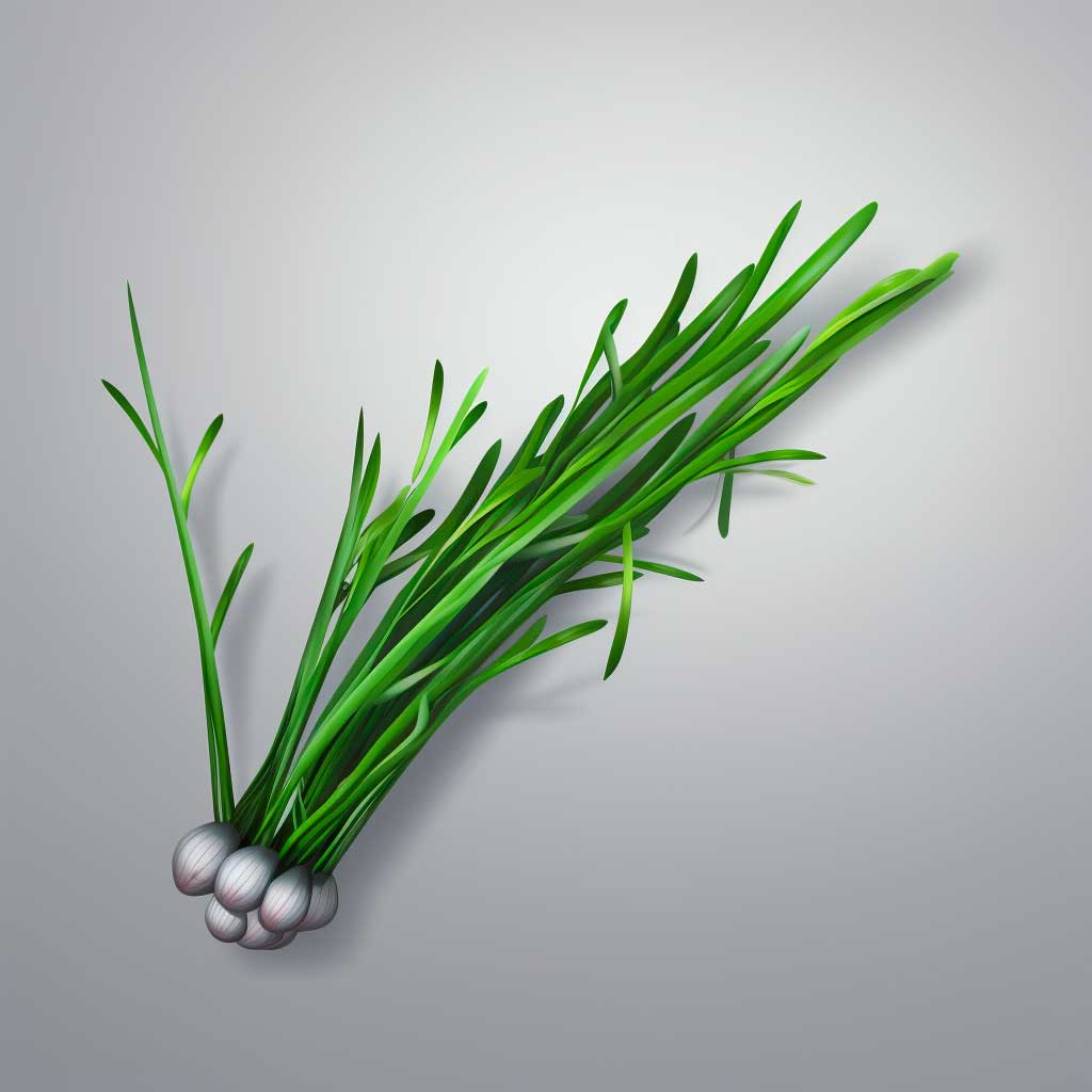 Chive Icon