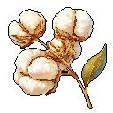 Cotton