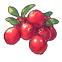 Cranberry