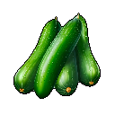 Cucumber