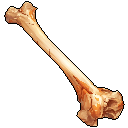 Dense Bone