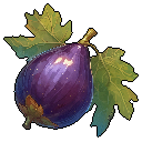Fig