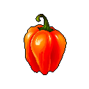 Habanero