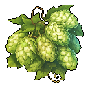 Hops