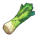 Leek