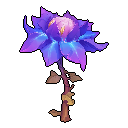 Magebloom