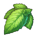 Mint Leaf