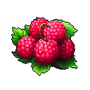 Raspberry