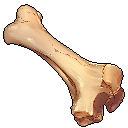 Reinforced Bone