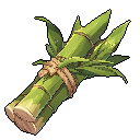 Sugar Cane