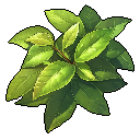 Tea Leaf