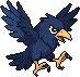 Corvus