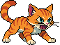Tabby