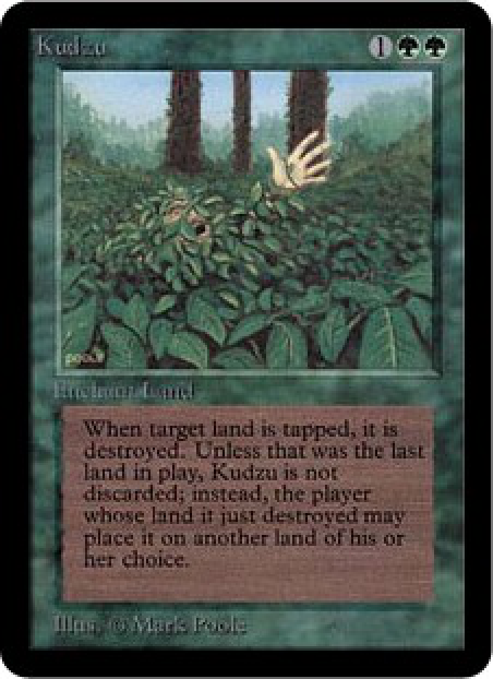 Kudzu